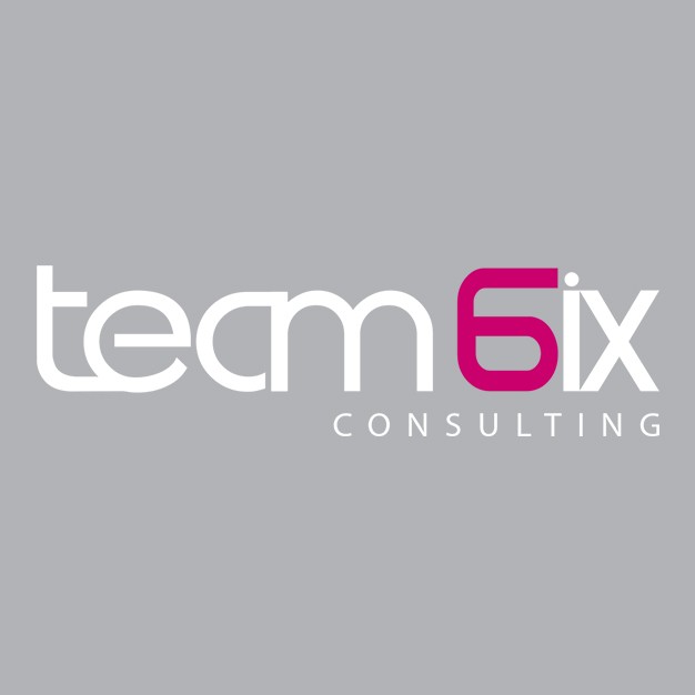 team6ix-partner-slider